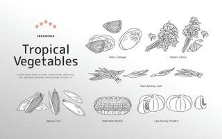 Isolated Tropical vegetables outline illustration vector