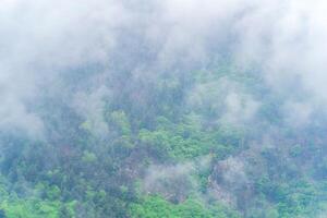 aerial view of the rain forest canopy, barely visible behind the fog photo