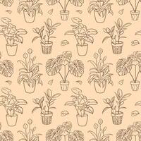 Ficus, Syngonium, Monstera, Spathiphyllum. seamless pattern. Exotic plant in a pot. Home floriculture, house plants, hobby. Botanical Outline illustrations in hand drawn style. Vintage, craft paper. vector