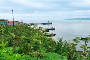 blurred view from a high bank to a small fishing port on the shore of an ocean bay, focus on the near grass photo