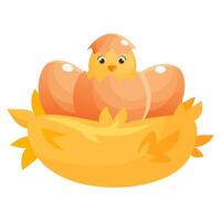 Cartoon chicken hatched from a shell in a nest made of straw. vector