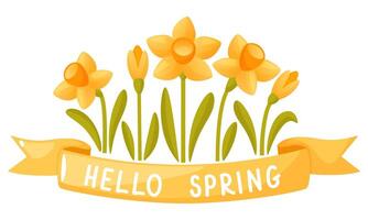 un ramo de flores de narcisos y un amarillo cinta con un escrito inscripción, Hola primavera. vector