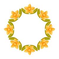 Empty round floral wreath of daffodils on a white background. vector