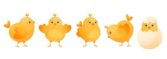 Cute yellow chickens in different poses for Easter design. vector