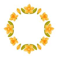 Empty round floral wreath of daffodils on a white background. vector