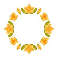 Empty round floral wreath of daffodils on a white background. vector