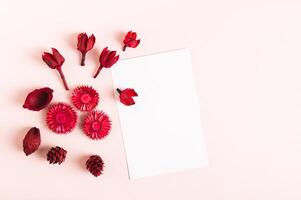 Blank sheet for writing and dry red flowers on a pink background top view photo