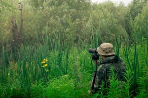 male explorer makes observations in the wild with a spotting scope standing among the tall grass photo