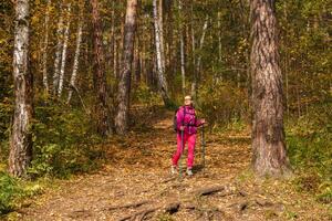 woman trekking in the autumn forest photo