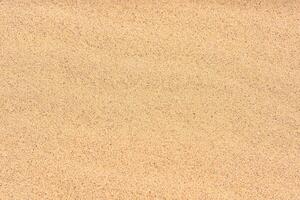background - yellow sand desert closeup photo