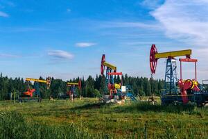 oil pumping stations pumpjacks in a clearing in the forest photo
