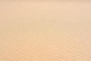 wind ripples on the sandy surface in the desert photo