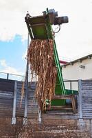 conveyor of stationary industrial woodchipper producing wood chips photo