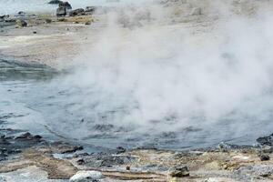 boiling and steaming hydrothermal outlet on the shore of the hot lake in the caldera of the Golovnin volcano on the island of Kunashir photo