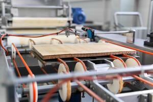 ready-made multi-layer wafer on the conveyor of a confectionery factory photo