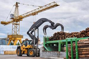 grapple loader unloads logs onto a feed conveyor in the yard of a woodworking plant photo