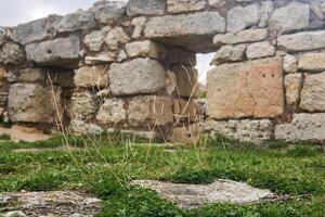 dry blades of grass against the background of blurry ancient ruins photo