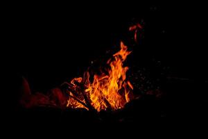 campfire flame in the dark background photo