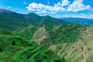 montaña paisaje con verde agrícola gradas en el pendientes foto