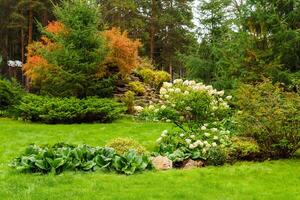 landscaped lawn of plants and artificial rocks photo