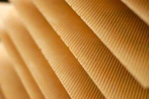 background freshly baked wafer sheets on a conveyor of a confectionery factory photo