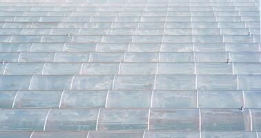 many industrial polytunnels for growing vegetables, top view photo