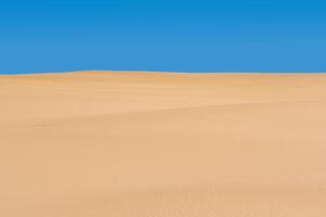 sin vida arenoso Desierto paisaje debajo azul cielo foto