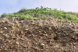 occupation earth - layers of ground with fragments of ancient pottery and shells under the sod layer photo