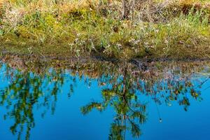 swamp landscape with grass tussocks and reflection in open water photo