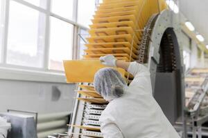 confectioner-technologist checks the quality of wafers on the conveyor photo