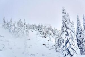 winter landscape - mountain pass with snowy trees and rocks visible from under the snow photo