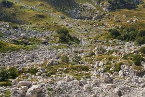 view of a mountain valley with alpine meadows and fields of limestone boulders photo