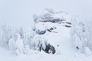 snow-covered rock and frosty trees on a mountain pass in winter photo