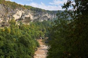 gorge with a muddy river among wild vegetation photo