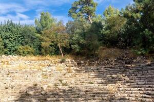 ruins of ancient amphitheater among the forest in the antique city of Phaselis, Turkey photo