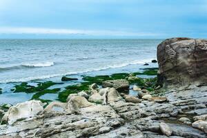 coast of the Caspian Sea with coastal rocks and stones covered with algae photo