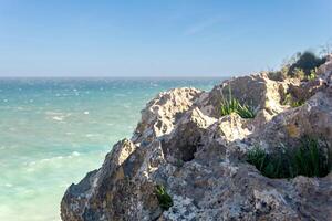 grass grows in the cracks of the stone on the seashore photo