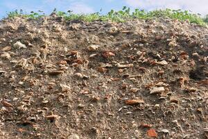 occupation earth - layers of ground with fragments of ancient pottery and shells under the sod layer photo