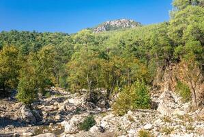 mediterranean mountain landscape with forest growing on rocky ground photo