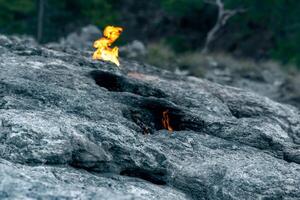 constantly burning fire at the place of a natural gas emission on Mount Chimaera Yanartas, Turkey photo