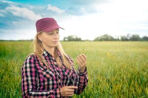 mujer granjero con orejas de trigo en el campo foto