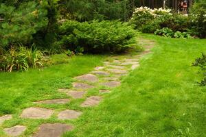 lawn among decorative bushes with a path made of stone slabs photo