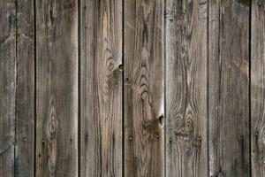 background, texture - plank fence from unpainted boards photo