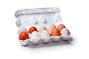 egg crate with nine white eggs and one brown isolated on a white background photo