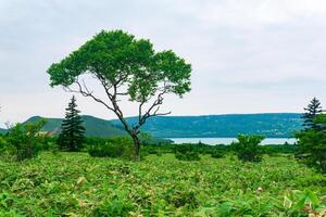 natural landscape of Kunashir island, view of the Golovnin volcano caldera with hot lakes photo