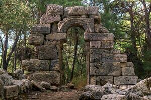 ruins of antique building among the forest in the ancient city of Phaselis photo