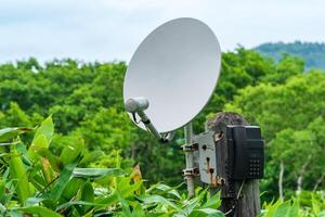 public satellite phone for emergency communication among bamboo thickets in the wilderness in the reserve photo