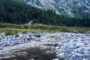 rocky river in a mountain valley against the backdrop of a forest and distant rocks photo