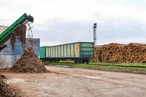timber yard with stacks of logs, open freight wagons and bark chipper photo