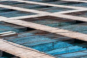 aquaculture installations with fish cages on a fish farm photo